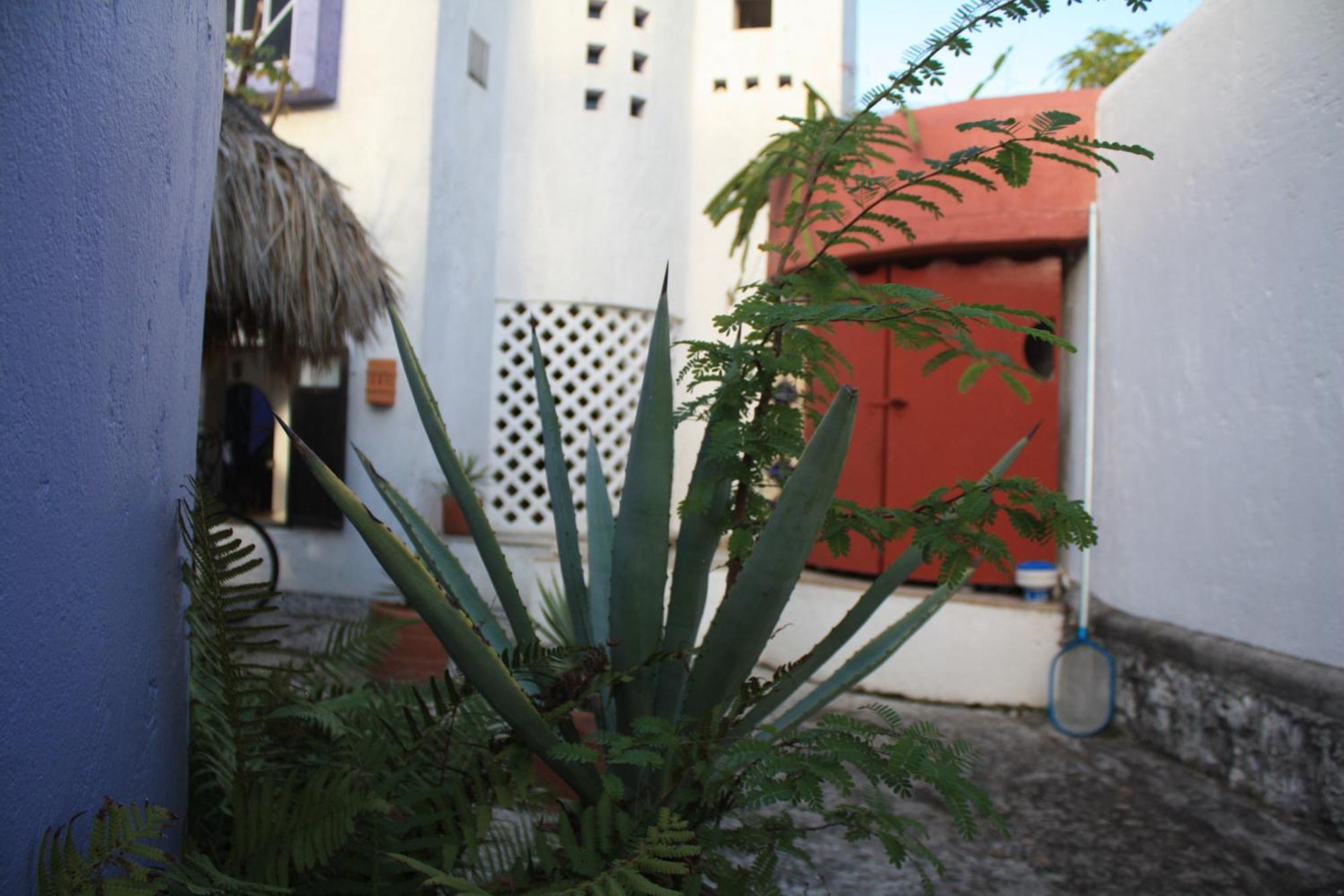 Amaranto Bed And Breakfast Cozumel Bagian luar foto