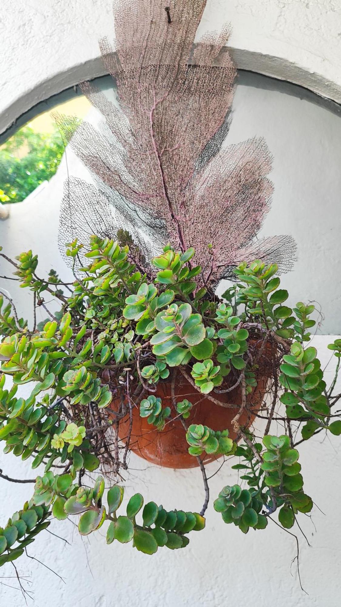 Amaranto Bed And Breakfast Cozumel Bagian luar foto