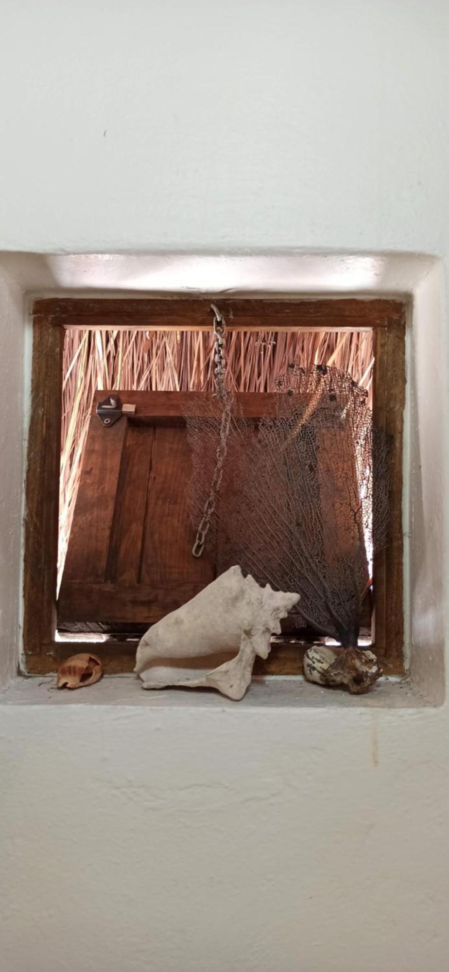 Amaranto Bed And Breakfast Cozumel Bagian luar foto